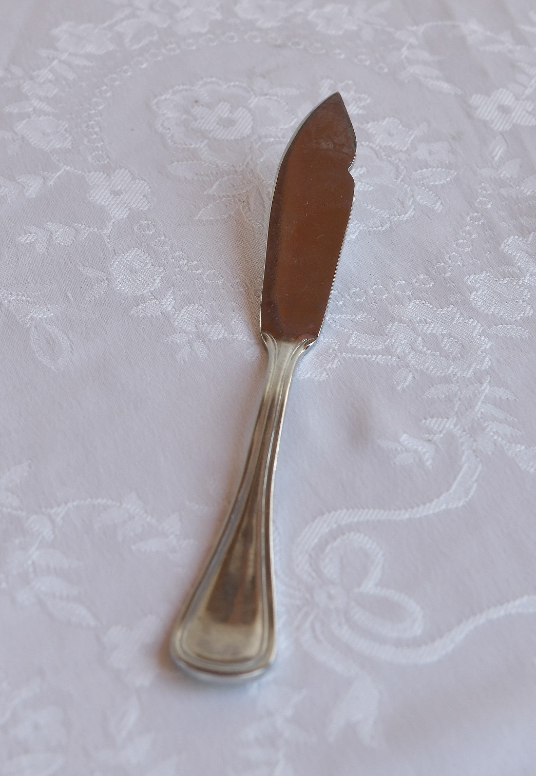 Cuchillo pescado